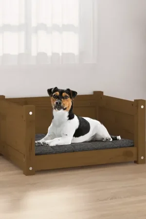 Acquista Ora Cuccia per Cani Ambra 55,5x45,5x28 cm Legno Massello di Pino 821445