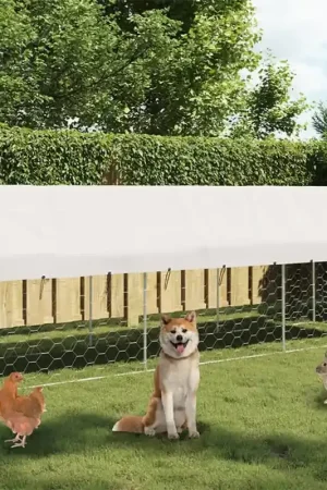 Acquista Ora Gabbia per Cani da Esterno con Tetto 400x100x150 cm 171497
